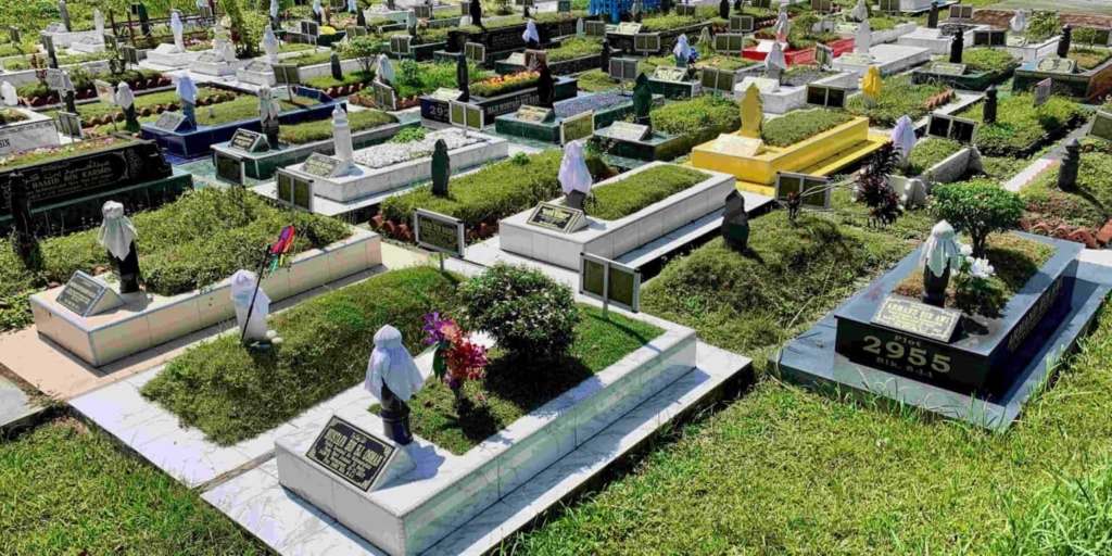 环保告别：探索可持续遗产的替代葬法